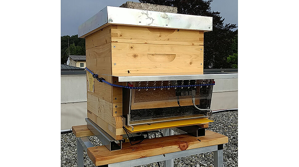 Bienenstock mit Bee-O-Meter-Sensoranbringung