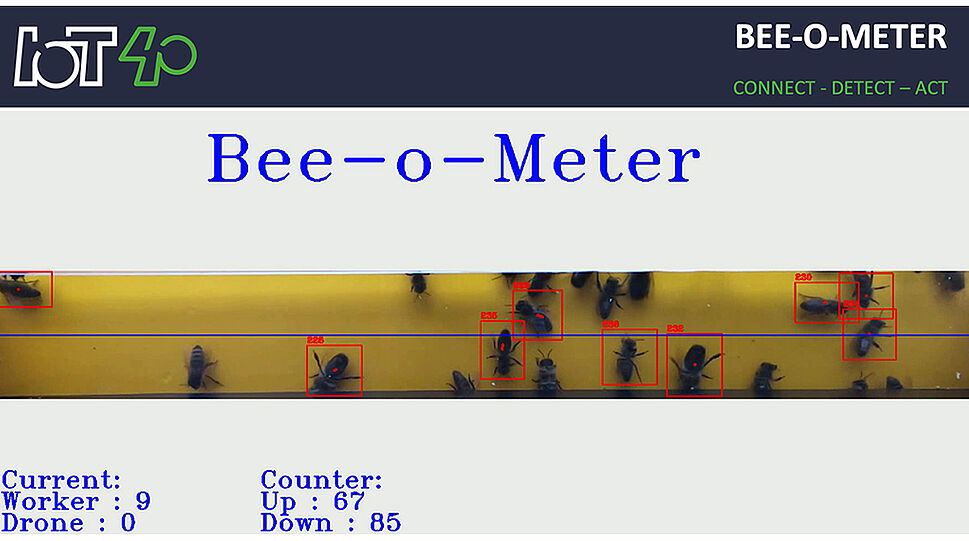 Bee-O-Meter Screen mit Erkennungssoftware