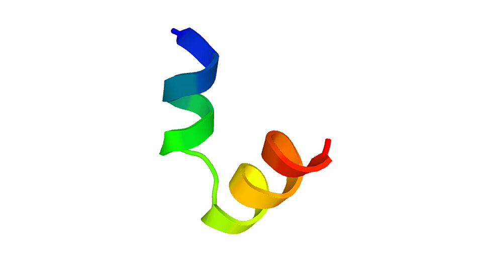 Antiviral Peptide - schematische Darstellung des Wirkstoffs