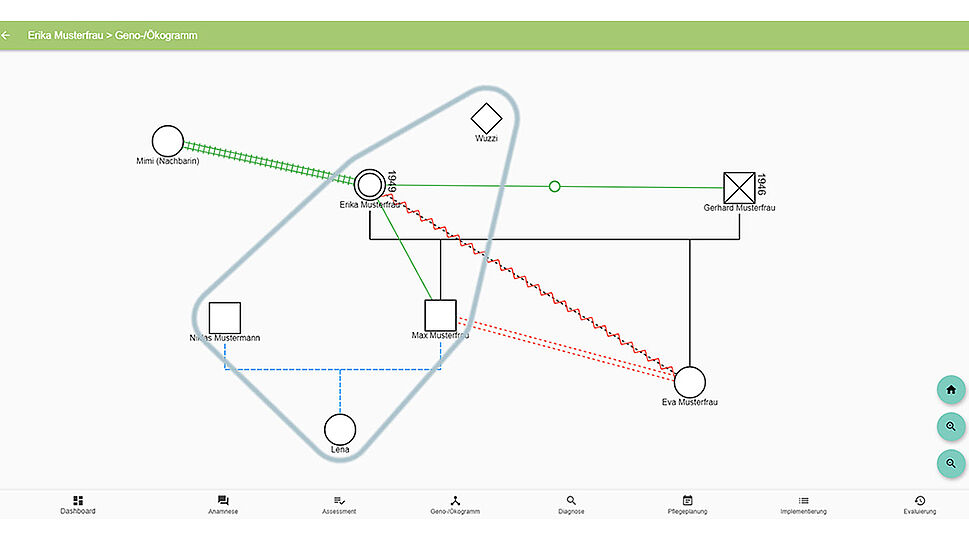 Carenamics - Genogramm Web