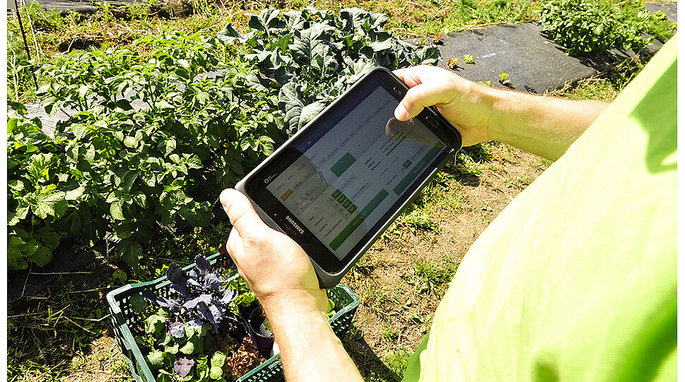 myAcker - Farmer kontrolliert am Tablet die Erntewünsche am Acker