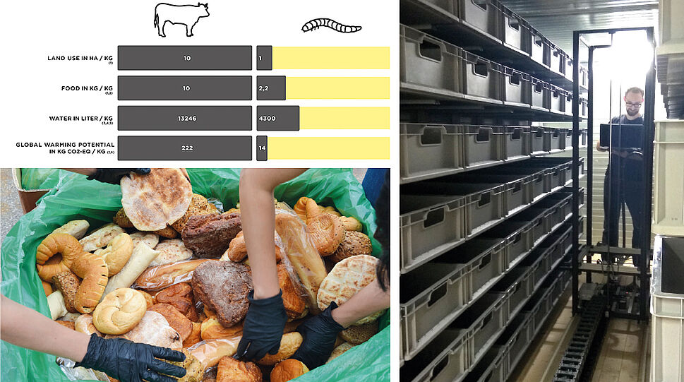Geteilte Darstellung - 1: Vergleich Ressourcen-Verbrauch Insekten - Rinder - 2: ein großer Sack voller Gebäck - 3: Lager mit Kunststoffbehältern