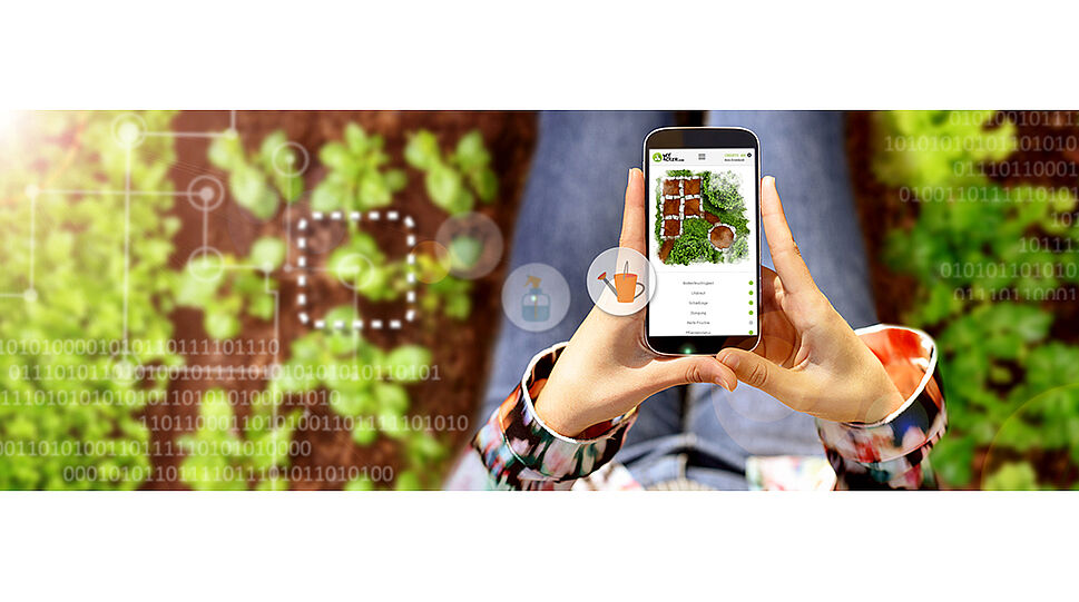 myAcker - Kundin kontrolliert am Smartphone den Zustand der Pflanzen