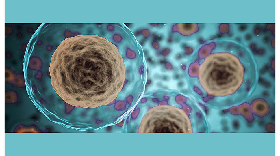 OncoOne - Illustration Tumorzellen